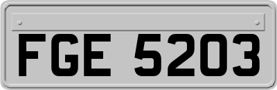 FGE5203