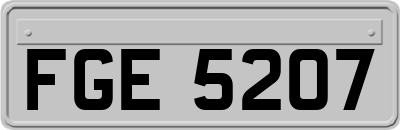 FGE5207