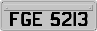 FGE5213