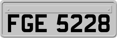 FGE5228