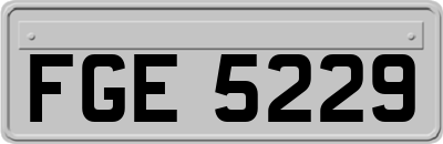 FGE5229