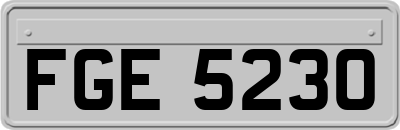 FGE5230