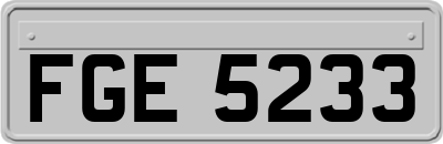 FGE5233