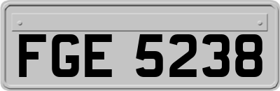 FGE5238
