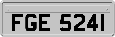 FGE5241