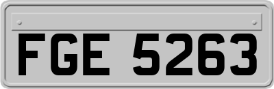 FGE5263