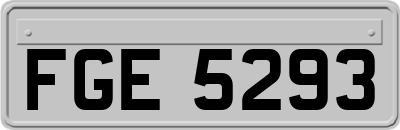 FGE5293