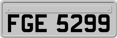 FGE5299