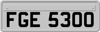 FGE5300