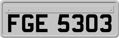 FGE5303