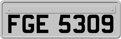 FGE5309