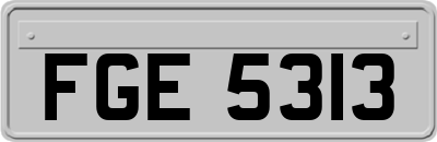 FGE5313