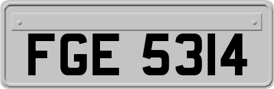 FGE5314