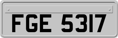 FGE5317