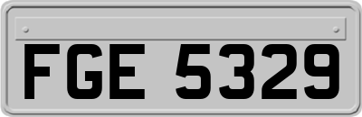 FGE5329