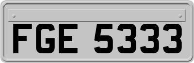 FGE5333