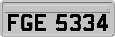 FGE5334