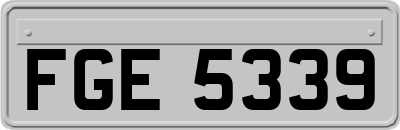 FGE5339