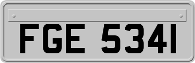 FGE5341