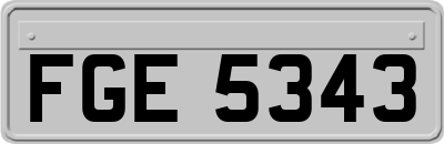 FGE5343