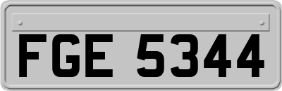 FGE5344