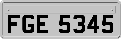 FGE5345