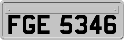 FGE5346