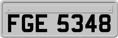 FGE5348