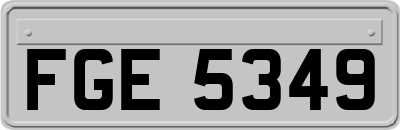 FGE5349