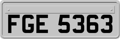 FGE5363