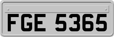 FGE5365