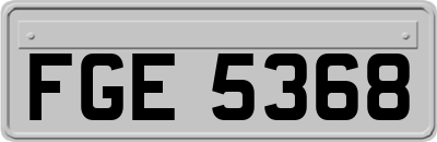 FGE5368