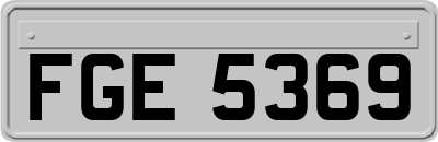 FGE5369