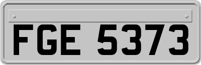 FGE5373