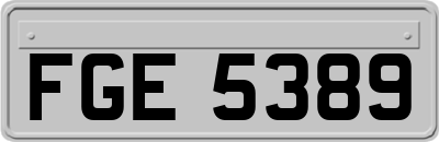 FGE5389