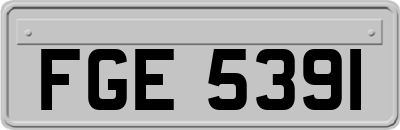 FGE5391