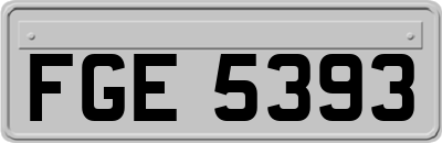 FGE5393