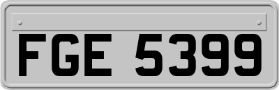 FGE5399