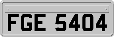 FGE5404