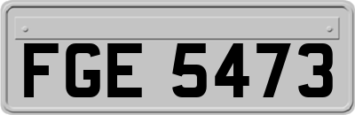 FGE5473