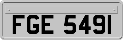 FGE5491