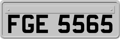 FGE5565