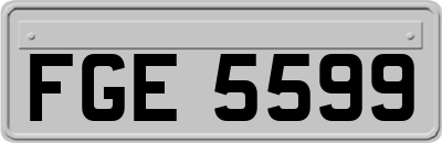FGE5599