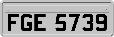 FGE5739