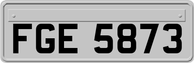 FGE5873