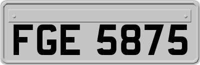 FGE5875