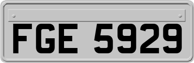 FGE5929