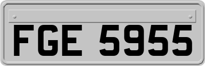 FGE5955