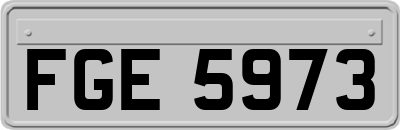 FGE5973