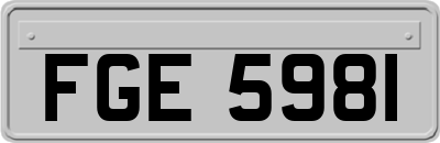 FGE5981